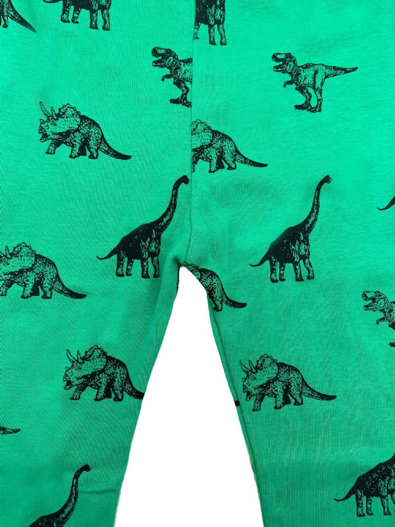 Chlapci Lounge Wear Homewear Top & Souprava Kalhot S Dlouhým Rukávem A Pyžamovým Potiskem S Kreslenými Dinosaury