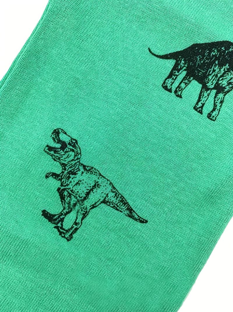 Chlapci Lounge Wear Homewear Top & Souprava Kalhot S Dlouhým Rukávem A Pyžamovým Potiskem S Kreslenými Dinosaury